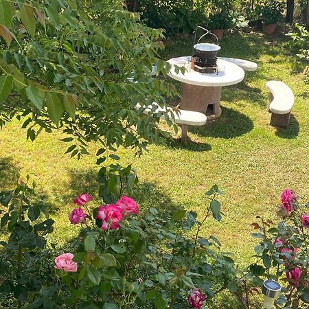 Lelle -Kert Apartman 03 Balatonlelle Εξωτερικό φωτογραφία